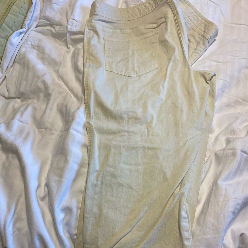 Ann Taylor Capri pants